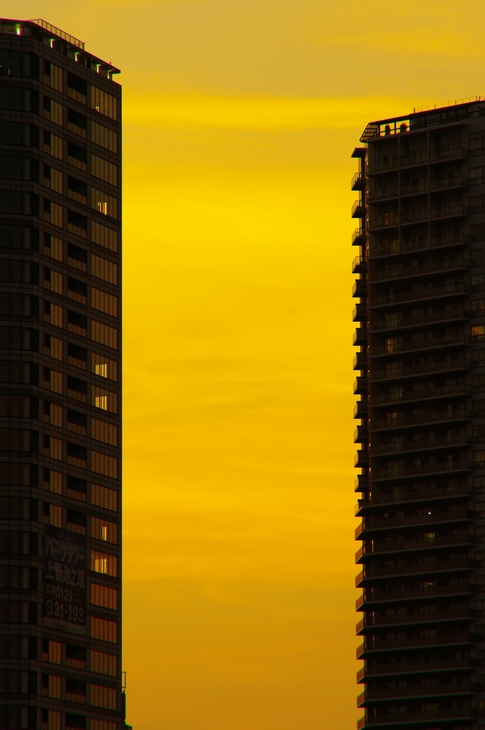 細長い空