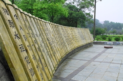 本