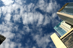 蒼空