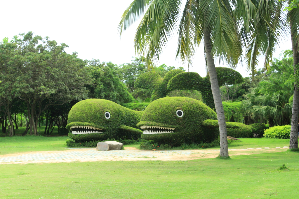 コワモテのクジラ