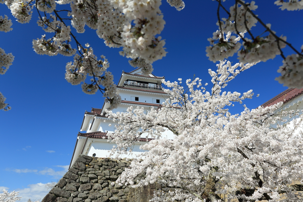 会津鶴ヶ城