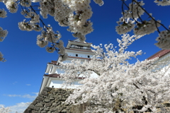 会津鶴ヶ城