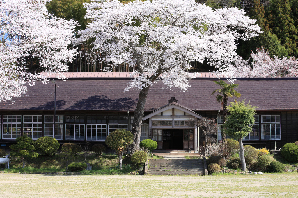 上岡小学校の春