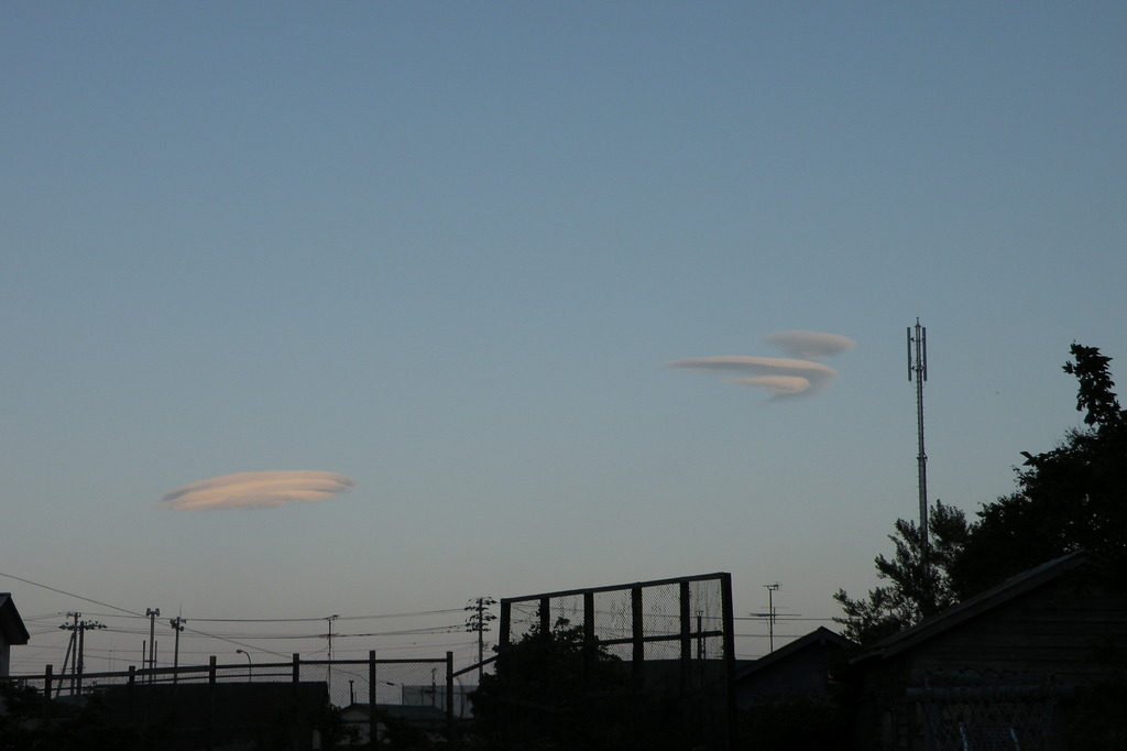 校庭から