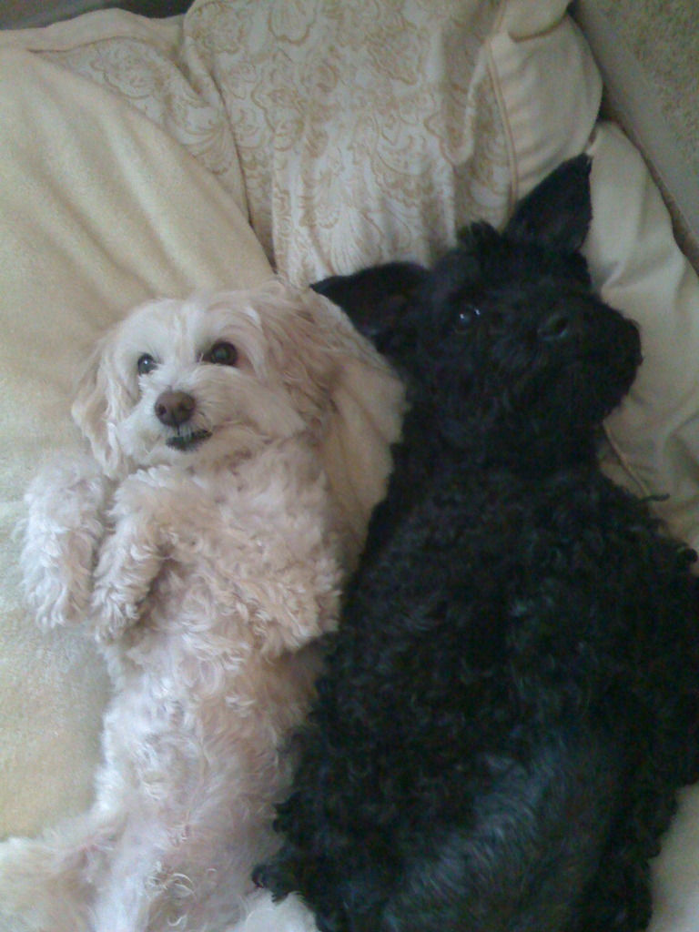 勘弁して〜〜〜。