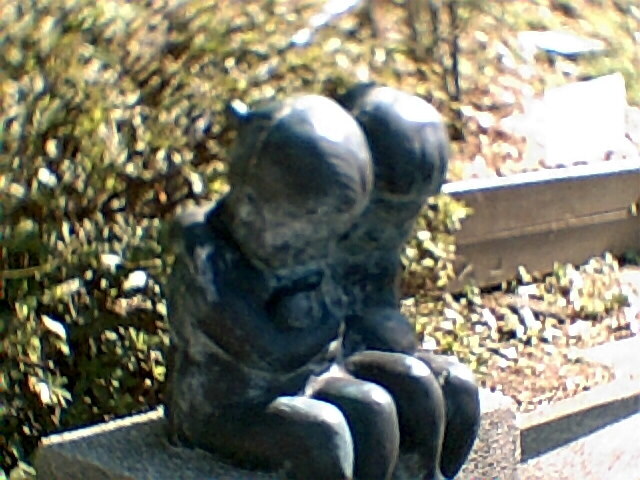 photo005