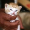 ばぁばの