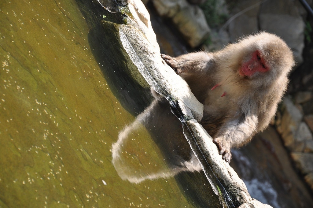 入ろうかな・・・