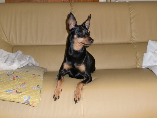 CIMG0811