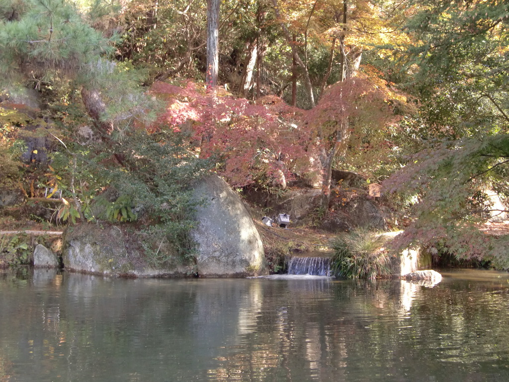 曽木公園