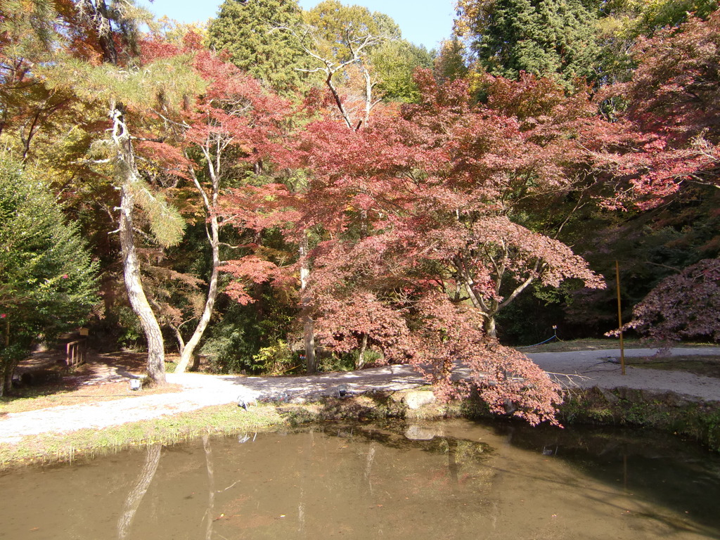 曽木公園