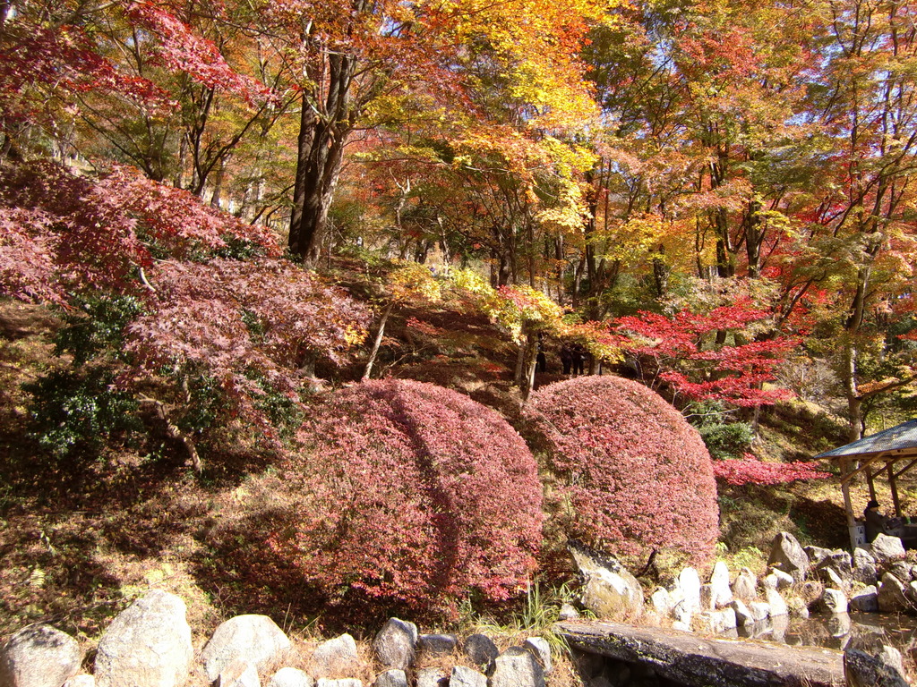 大井平公園