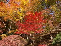 大井平公園