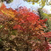 大井平公園