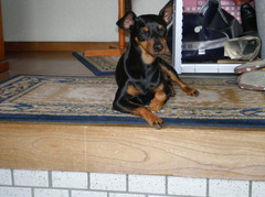 帰りを待っている