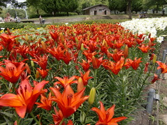 2009_0616_110135-CIMG0057