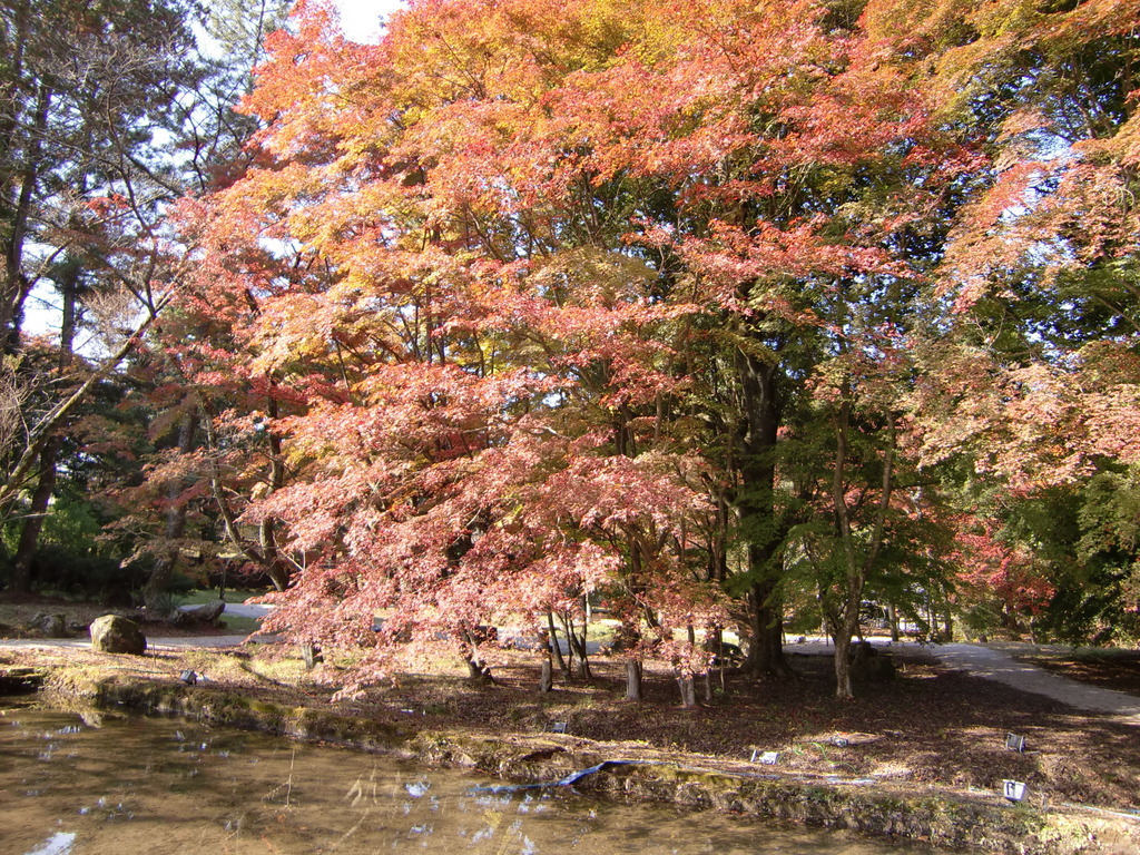 曽木公園