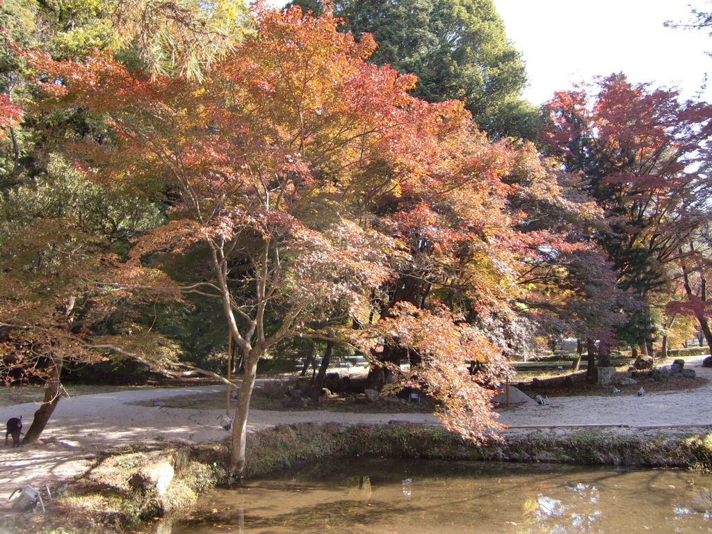 曽木公園
