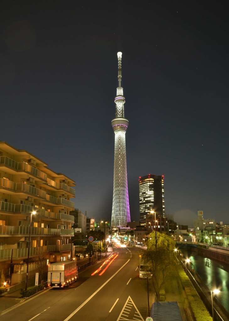 夜空にそびえ立つ