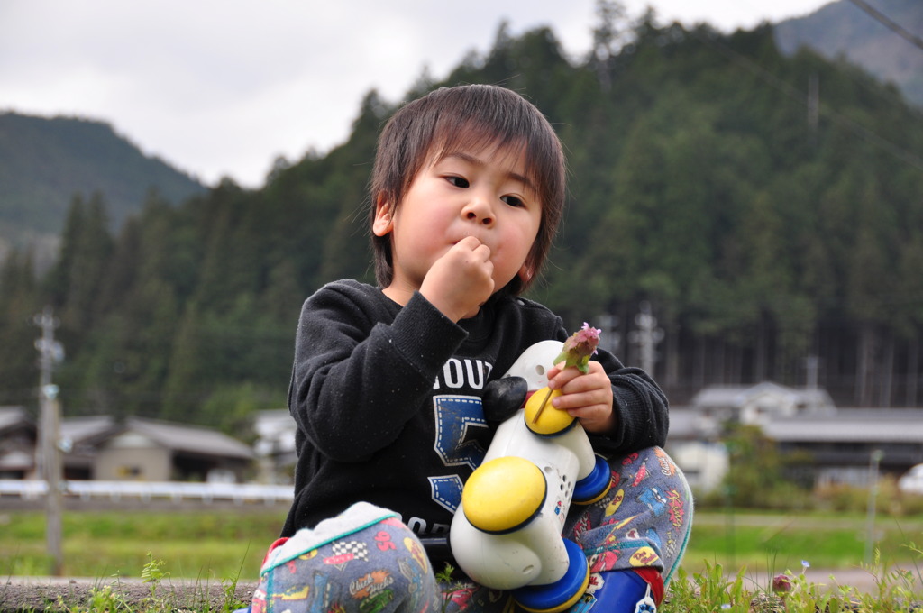 花の蜜を吸うしーくん