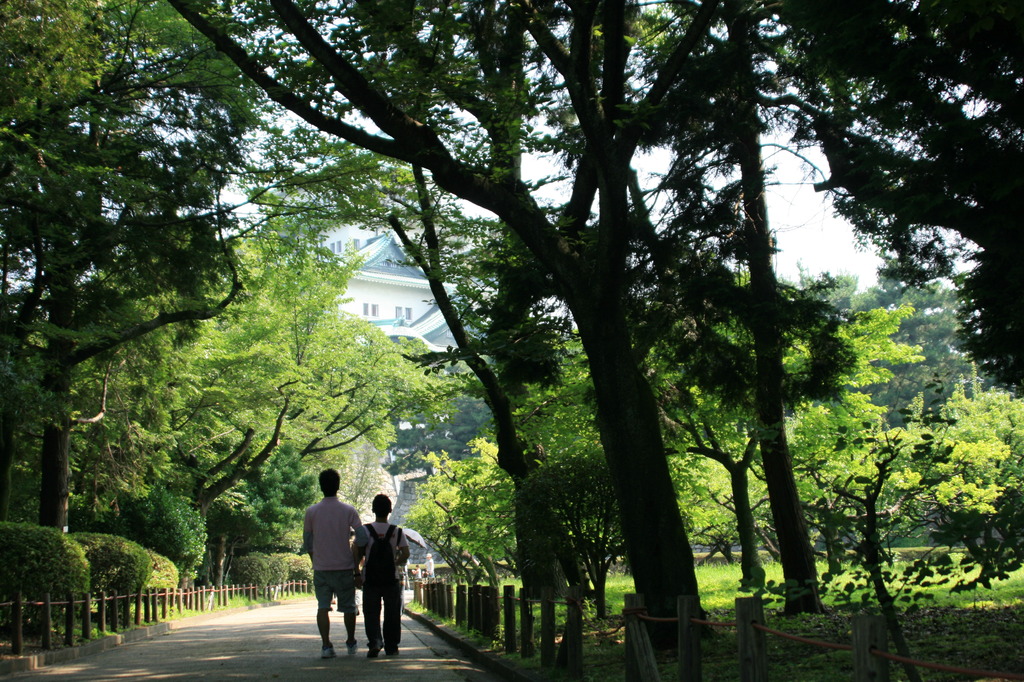 木漏れ日の先に･･･