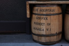 ちょっとおしゃれな散歩道