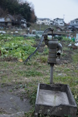 まだまだ現役です