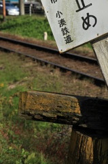 初めての撮り鉄