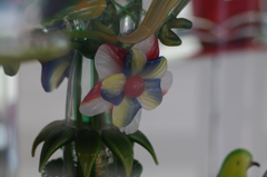 ガラスの花