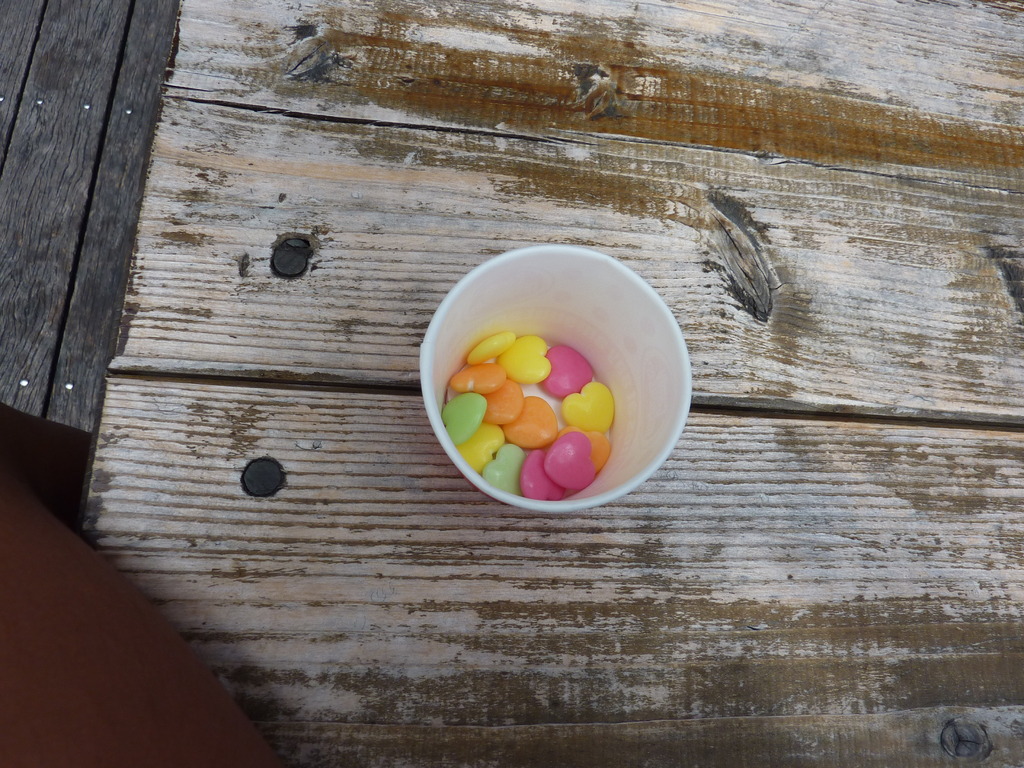 未来～ハートがいっぱい