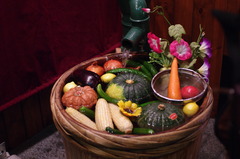 ベジタブルな夏