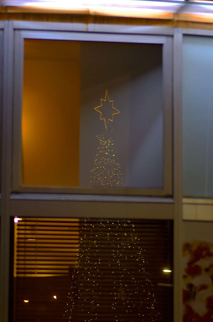 ガラスに映りこんだクリスマスツリー