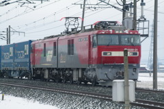 雪国の列車