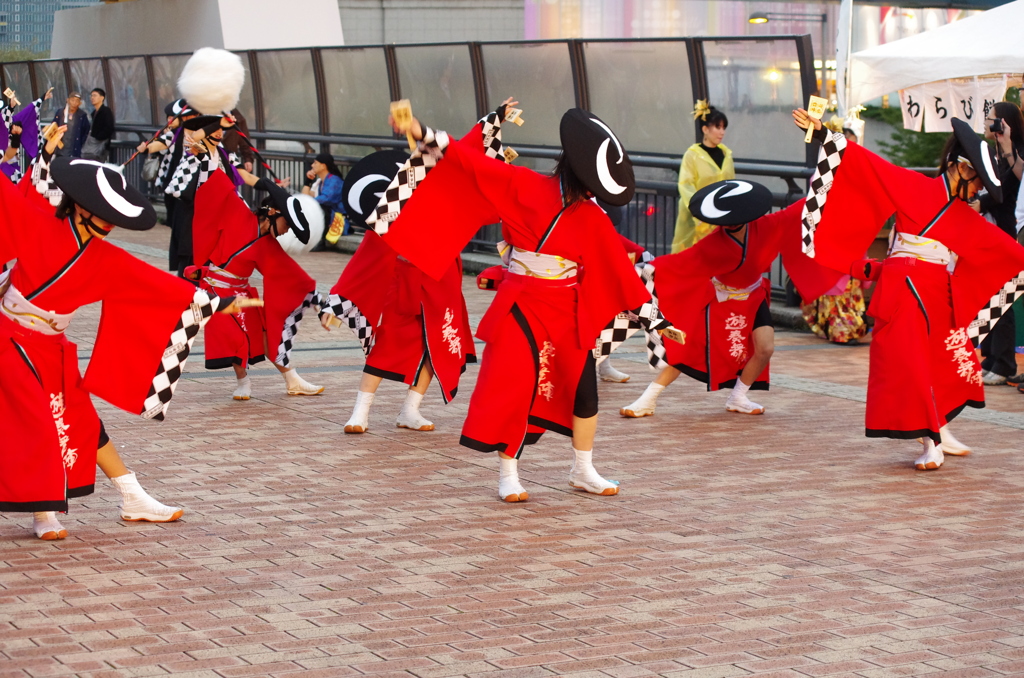 舞う～お台場よさこい