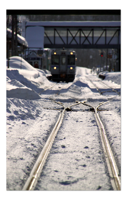 ■　美瑛の駅　■