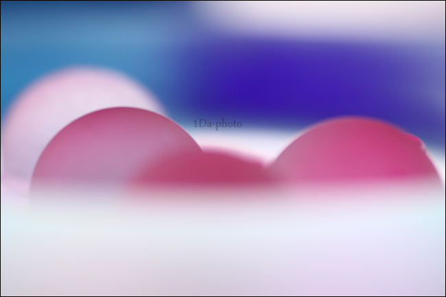 アートな世界