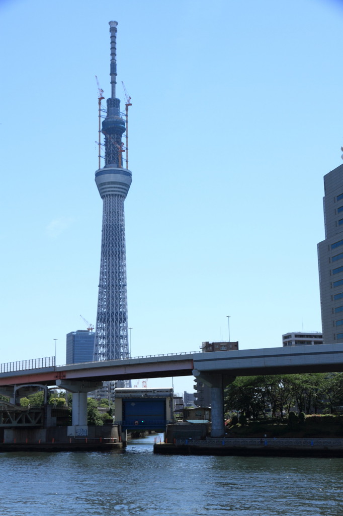 隅田川よりスカイツリー