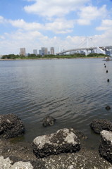 レインボーブリッジ