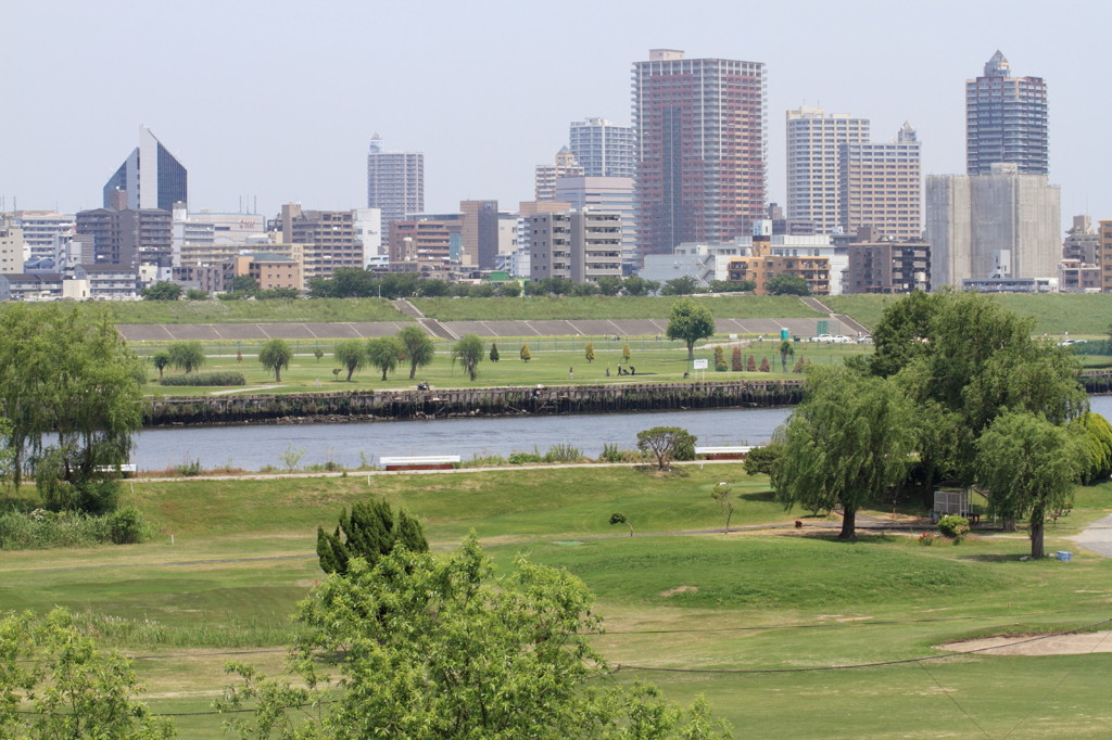 荒川土手より