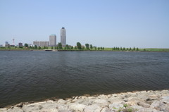 荒川河川敷より