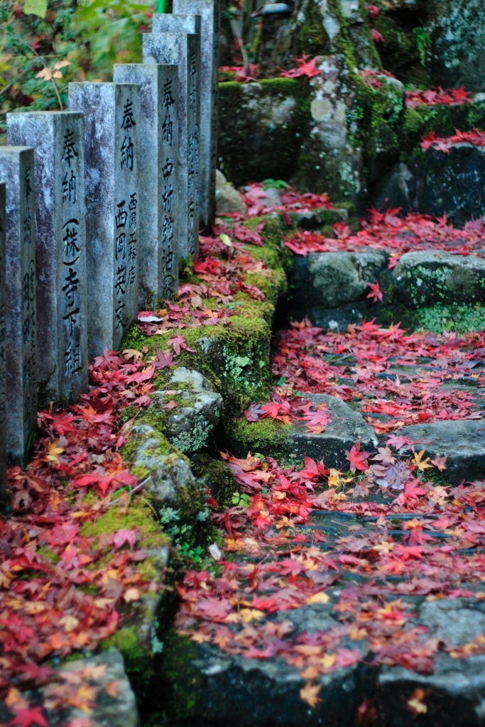 紅葉階段