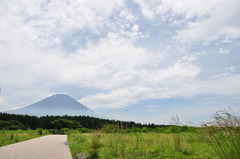 朝霧からの富士山です