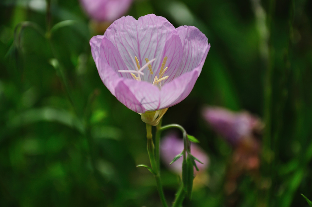 DSC_0399_969