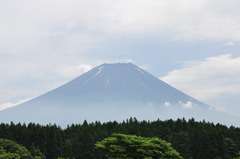 まだ静岡は梅雨明けしないのかなぁ・・・