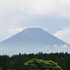 まだ静岡は梅雨明けしないのかなぁ・・・