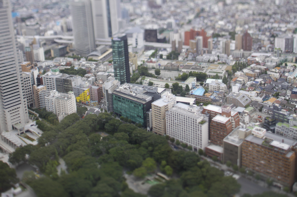 都庁より