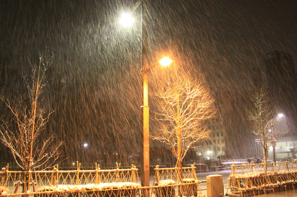 富山出張は大雪