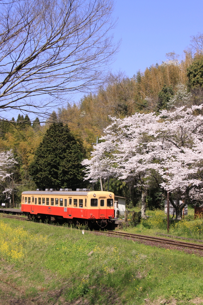 出張で小湊鉄道１