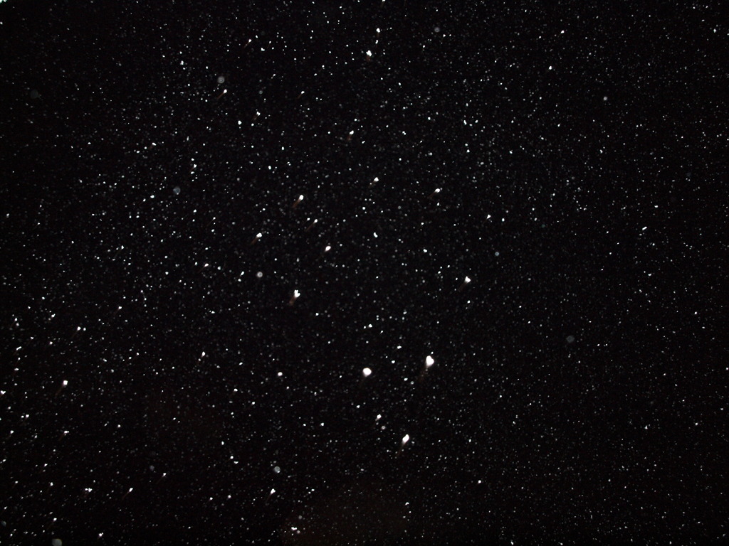 星空のような雪の日