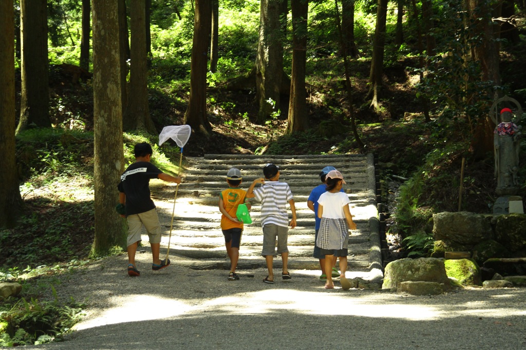 ぼくらの夏休み